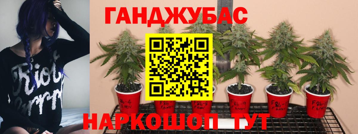 Шишки марихуана Bruce Banner  Канабис OG Kush  Бошки марихуана планчик  Вход с VPN  Хасавюрт 
